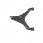 BRACCIO OSC. INF.SX DAILY 2000