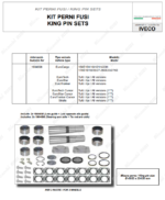 KIT PERNO FUSO STRALIS 2 RUOTE - immagine 2