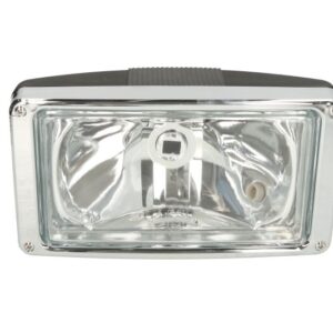 FANALE VISERA SCANIA R DX SX