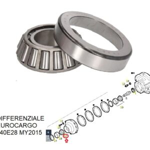 CUSCINETTO DIFFERENZIALE EUROCARGO